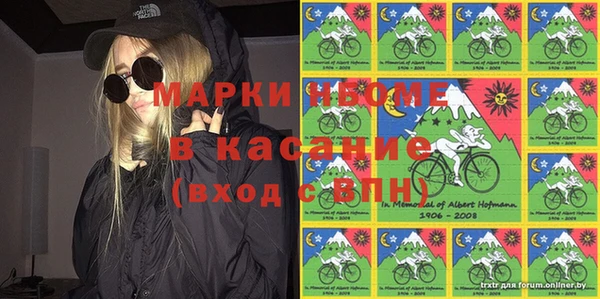 твердый Арсеньев