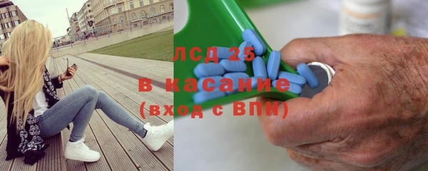 твердый Арсеньев