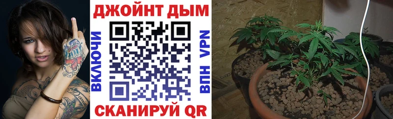 Шишки марихуана гибрид  Спас-Деменск 